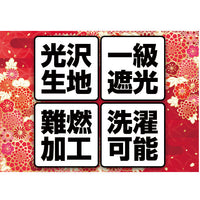 ジェットイノウエ(JET INOUE) トラックカーテン りらか 仮眠カーテン